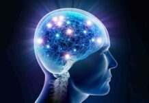 UNDERSTANDING YOUR BRAIN CAN HELP YOU LEARN learn