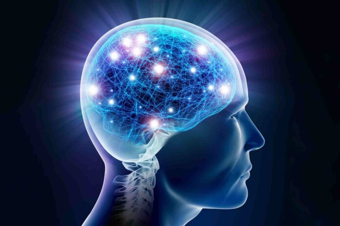Understanding your brain can help you learn learn