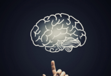 Do Brain Supplements Actually Help Memory Increase? memory