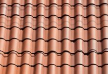 7 Signs Pests are Damaging Your Roof Roof