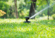 Buy Grass Turf Online For Beautifying The Garden Grass Turf