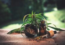 Can THC Gummies Help You Feel At Ease? THC Gummies