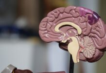 5 Helpful Tips for People with Epilepsy Epilepsy