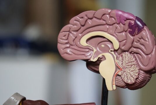 5 Helpful Tips for People with Epilepsy Epilepsy