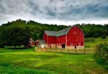 Seasonal Farm Storage Tips: Preparing for Harvest and Off-Season Farm