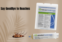 Best German Roach Killers and How They Help to Get Rid of These Pests from Your Homes German Roach Killers