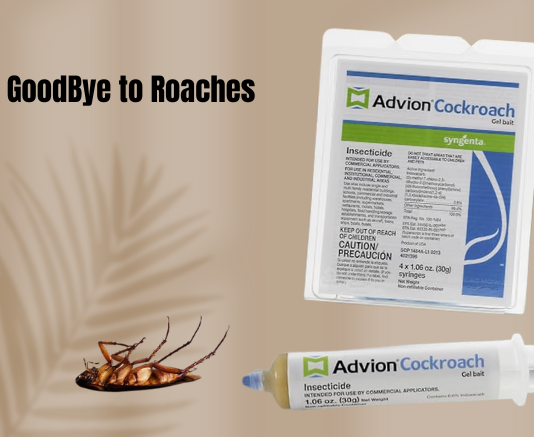 Best German Roach Killers and How They Help to Get Rid of These Pests from Your Homes German Roach Killers