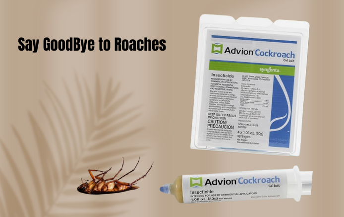 Best German Roach Killers And How They Help To Get Rid Of These Pests From Your Homes German Roach Killers