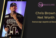 Chris Brown Net Worth 2025: Latest Insights into the R&B Star’s Wealth Chris brown net worth 2024