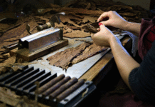 How To Buy Affordable Cigars Without Losing Freshness Affordable Cigars