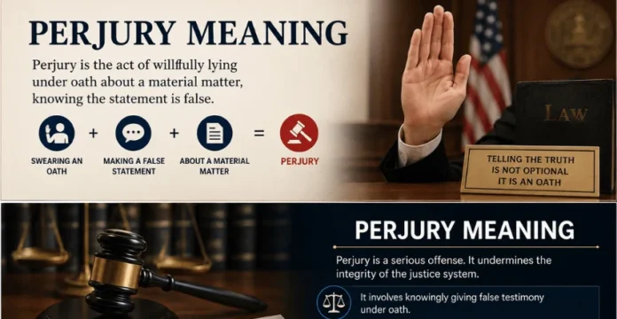 Perjury Meaning Perjury Meaning